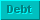 Current Debt ($)